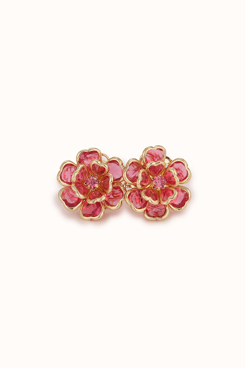 58362053919045